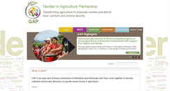 Desktop Screenshot of gender-gap.net