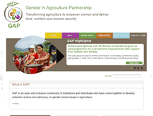 Tablet Screenshot of gender-gap.net